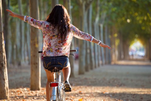 web-project-to-rent-bicycles-15 | Diseño Web y Desarrollo por Teo Salas
