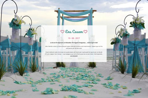 una-web-para-un-dia-inolvidable-31 | Diseño Web y Desarrollo por Teo Salas