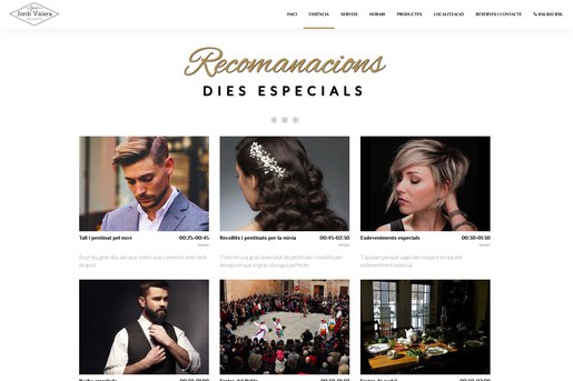 hairdresser-barbershop-web-design-43 | Diseño Web y Desarrollo por Teo Salas